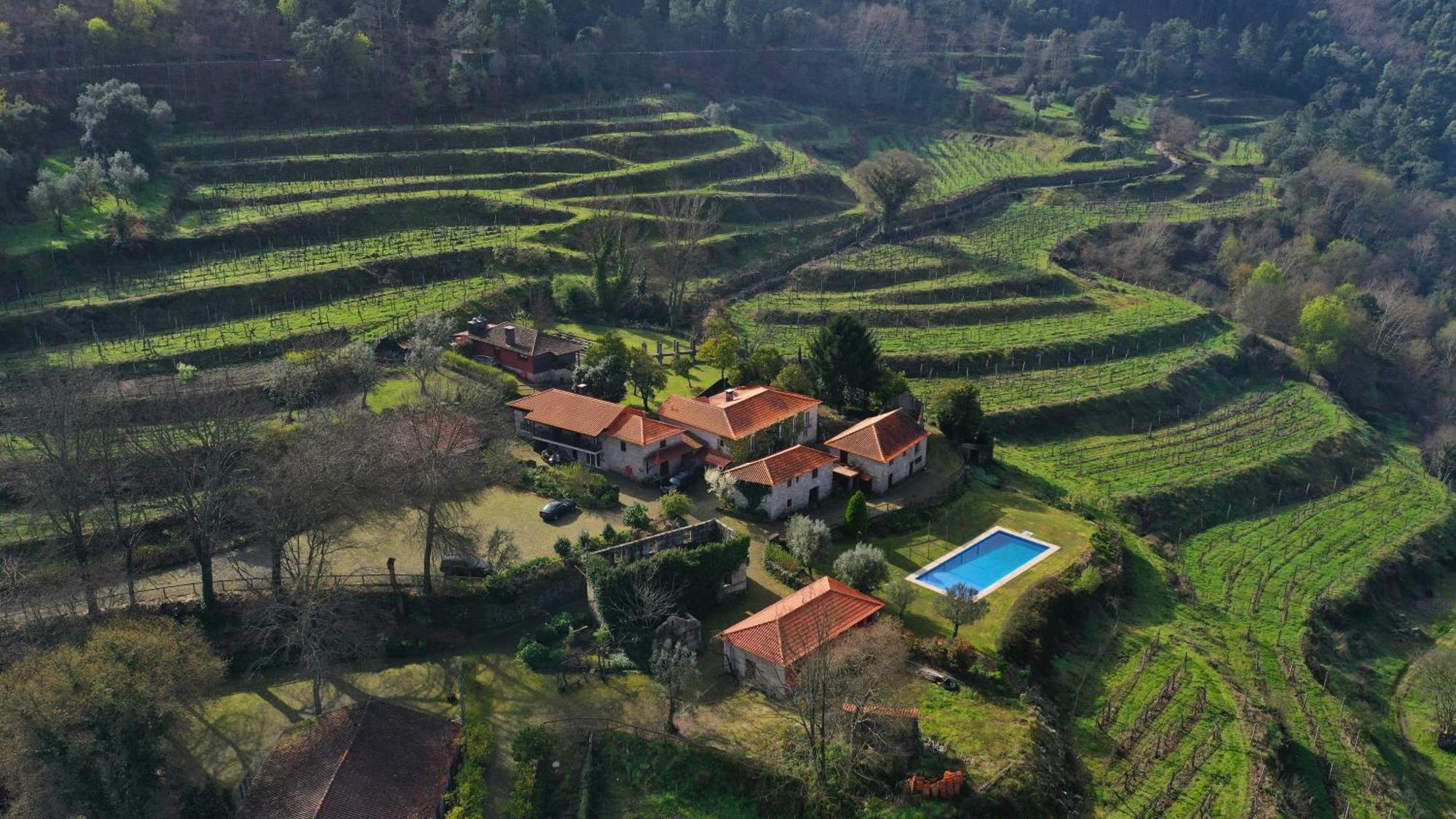 Quinta Da Pousadela - Agroturismo Pensionat Amarante Eksteriør billede