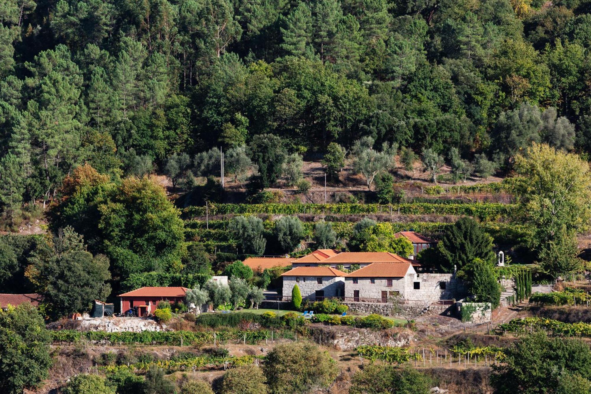 Quinta Da Pousadela - Agroturismo Pensionat Amarante Eksteriør billede