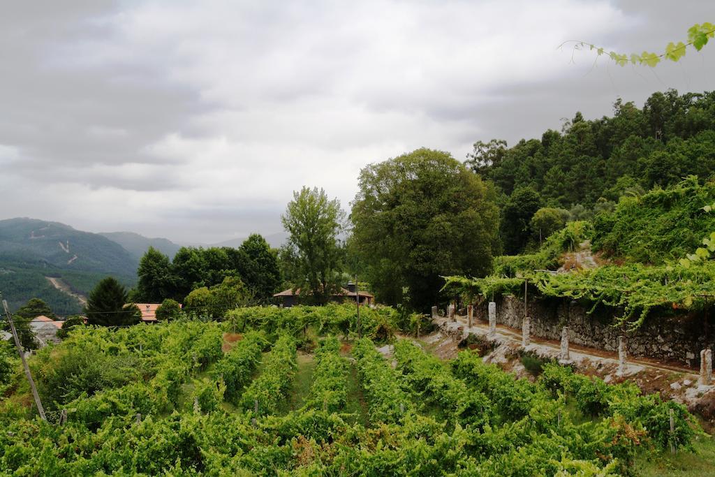 Quinta Da Pousadela - Agroturismo Pensionat Amarante Eksteriør billede